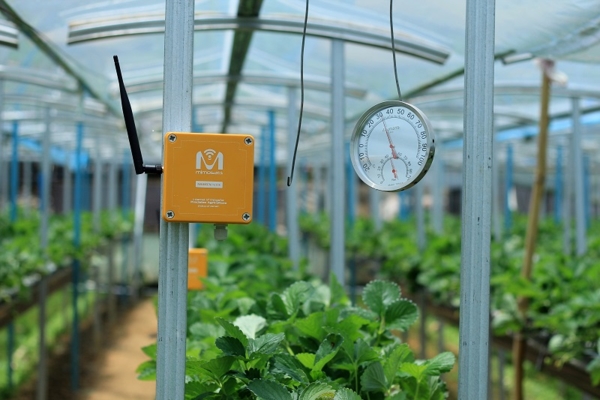 Chìa khóa cho nông nghiệp bền vững: Kỹ thuật số giúp giảm chi phí